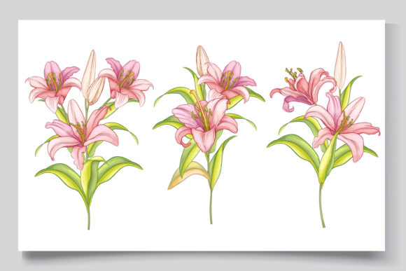Download Hand Drawn Floral Wedding Card Set - Set Collection
