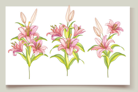 Download Hand Drawn Floral Invitation Card Set - Set Collection