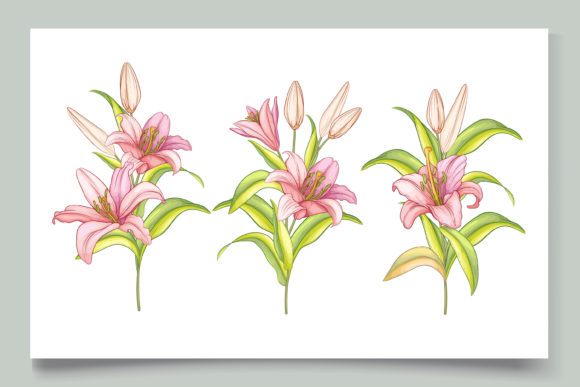 Download Hand Drawn Floral Wedding Card Set - Set Collection