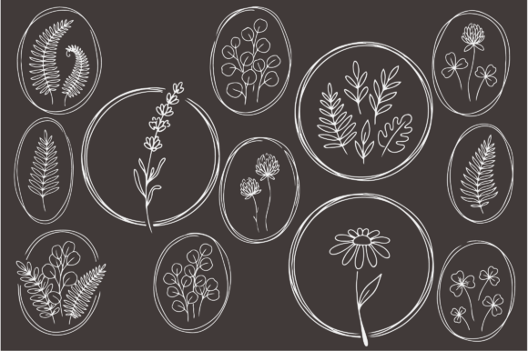Download Botanical Floral Line Art Frames Bundle - Bundle Collection
