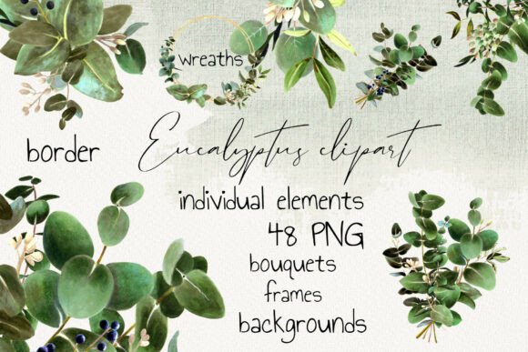 Download Eucalyptus Clipart Set PNG - Set Collection