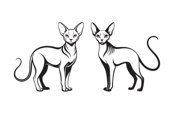 Download Sphynx Cat Line Art Silhouette Bundle. - Bundle Collection