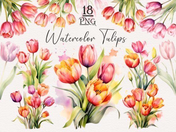 Download Watercolor Tulip PNG Bundle - Bundle Collection
