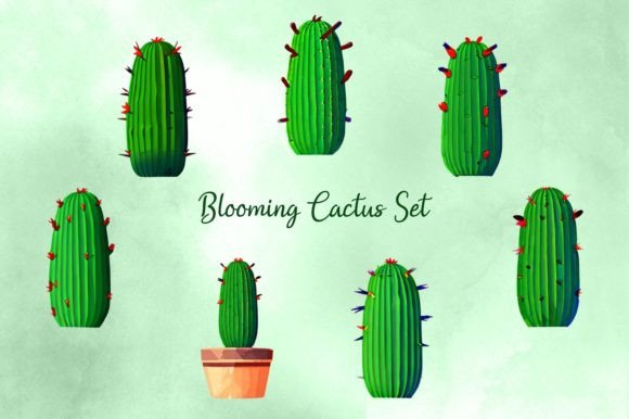 Download Blooming Cactus Set - Set Collection