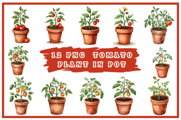 Download Tomatoes Watercolor Clipart Bundle #25 - Bundle Collection
