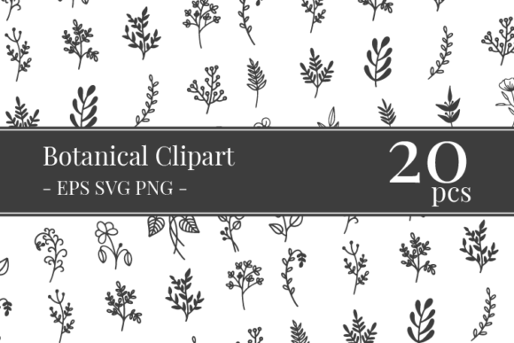Download Botanical Clipart Bundle - Bundle Collection