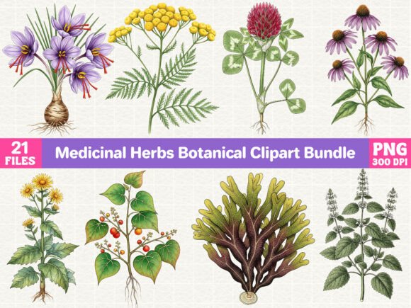 Download Medicinal Herbs Botanical Clipart Bundle - Bundle Collection