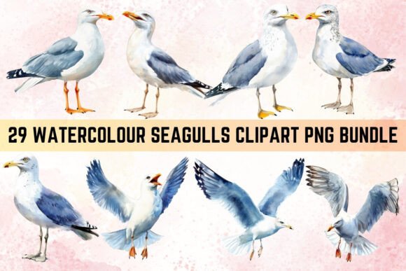 Download Watercolor Seagulls Clipart PNG Bundle - Bundle Collection