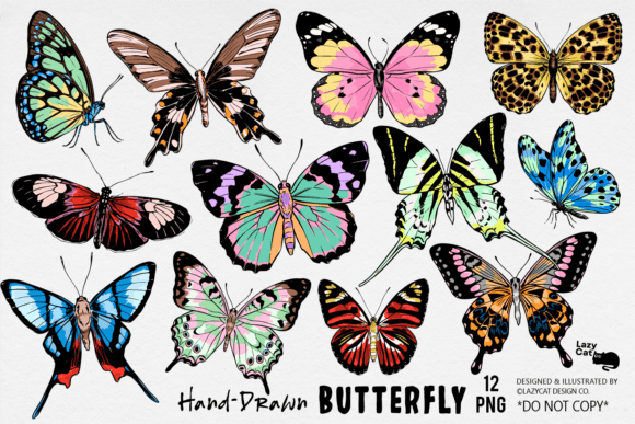 Download Butterfly Illustration PNG Bundle - Bundle Collection