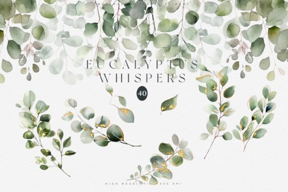 Download Watercolor Eucalyptus Clipart Set - Set Collection