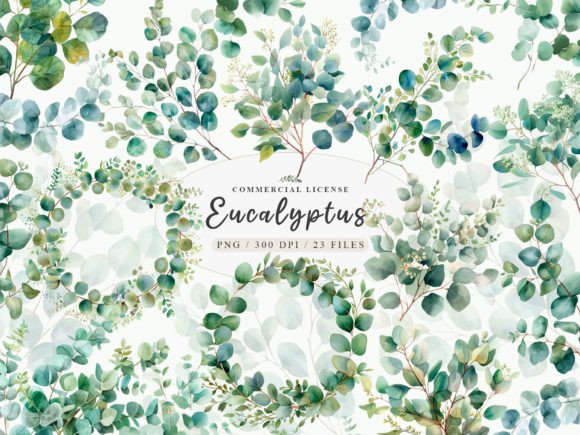 Download Eucalyptus Bundle, Eucalyptus Clipart - Bundle Collection