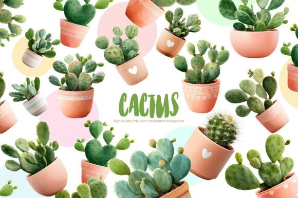 Download Cactus Clipart Bundle | PNG Plants - Bundle Collection